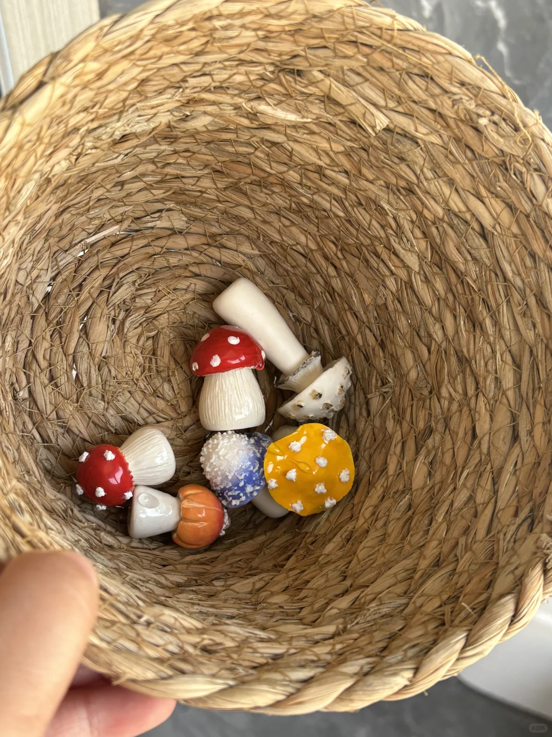 ?‍?进山采蘑菇的一天