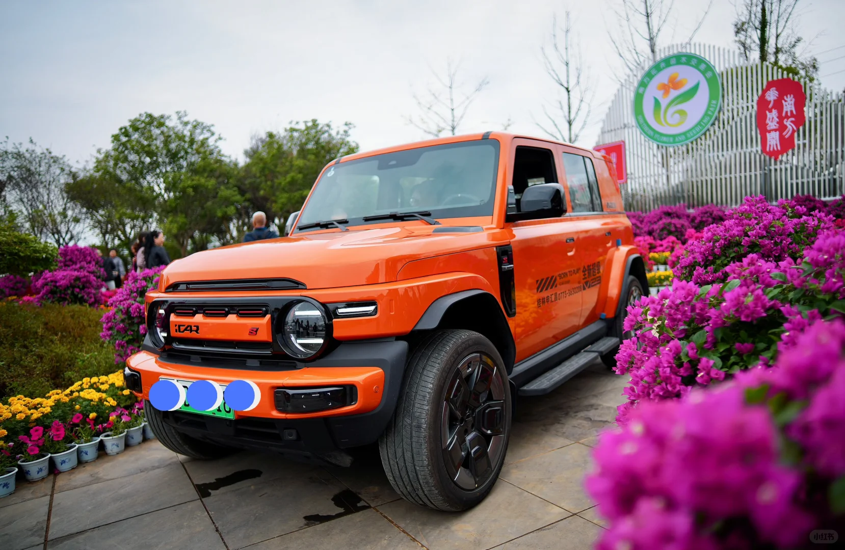 今天我们V23来到花卉苗木交易会现场啦