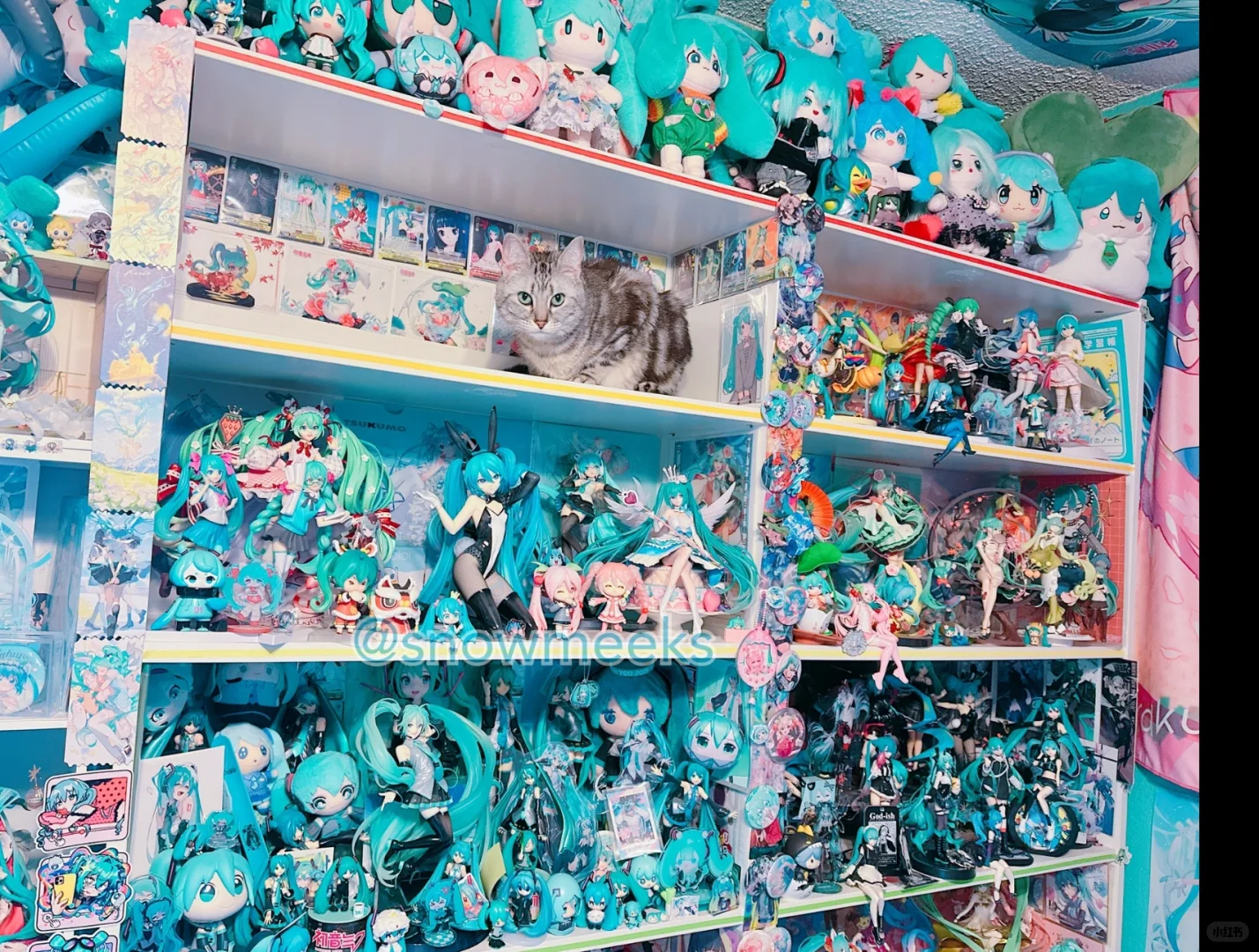 Reorganized a couple shelves!