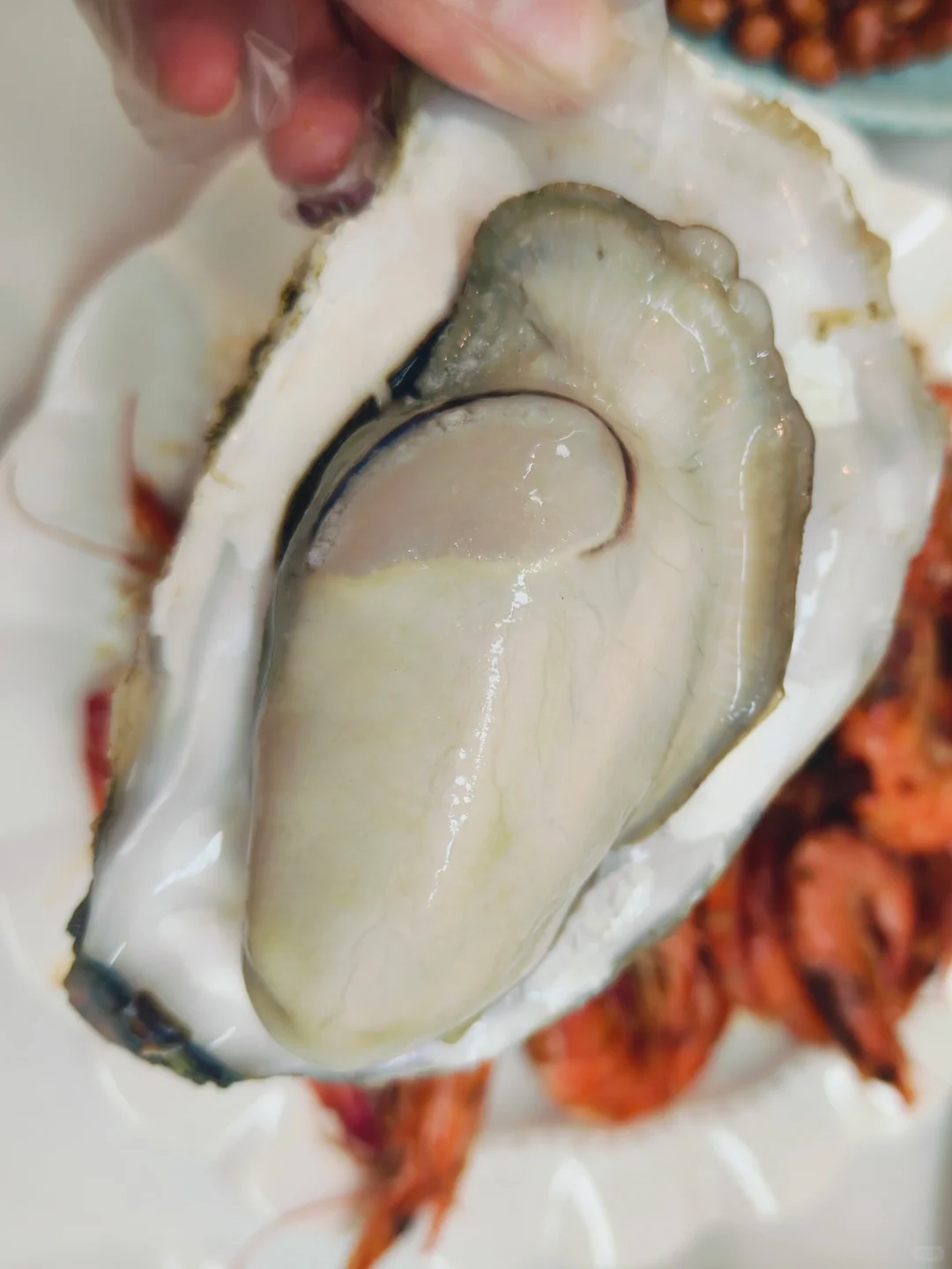 揭秘!古法养殖的生蚝上餐桌前的神秘之旅