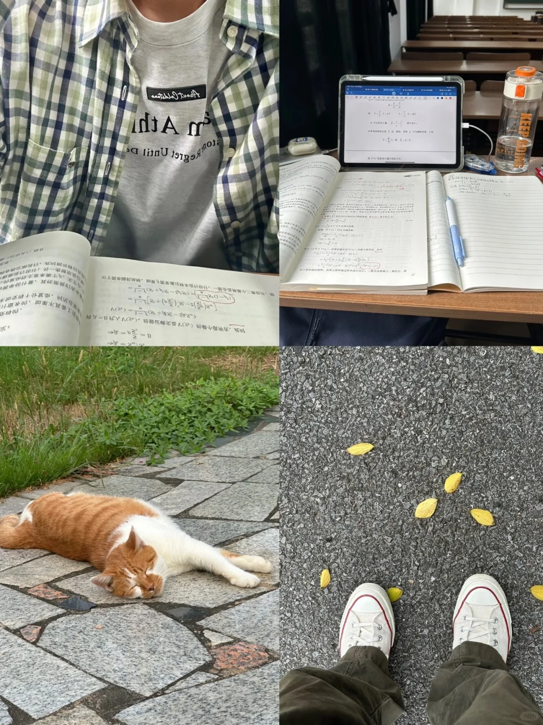 花了上万，学习机械设计的真实感受