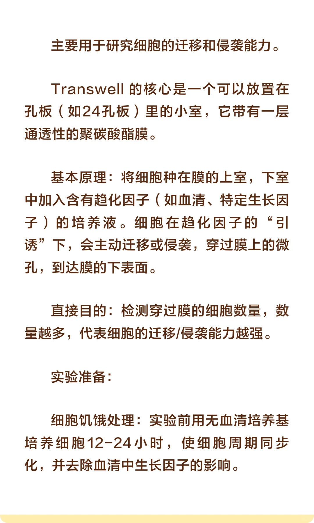Transwell实验（一）