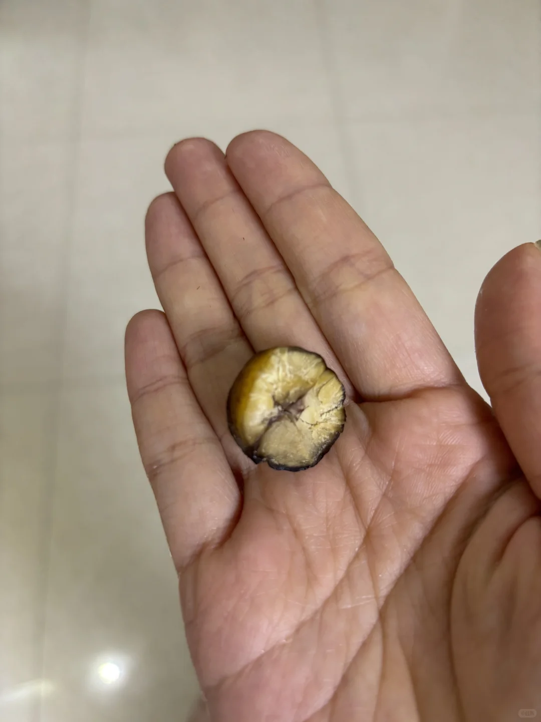 濮阳探店｜欧?家红黑榜