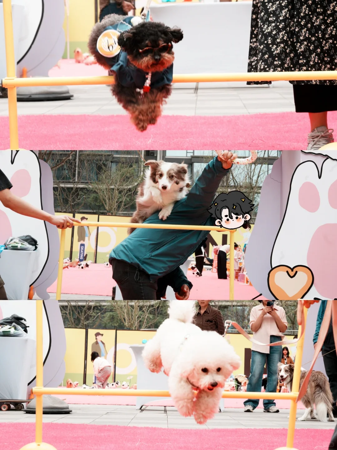 准备好了吗？泸州要举办首届川南宠博会了！