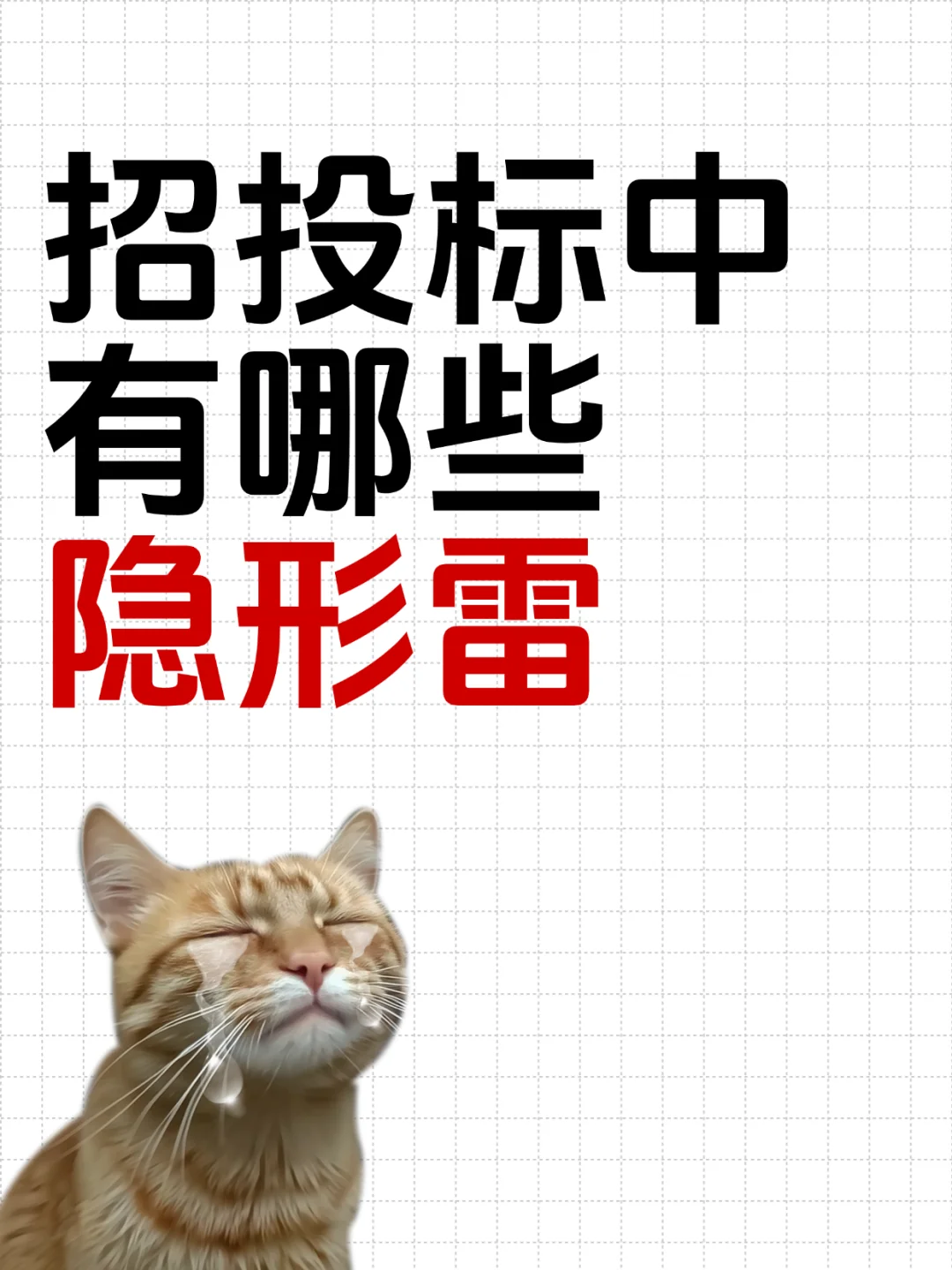 招投标中有哪些隐形雷