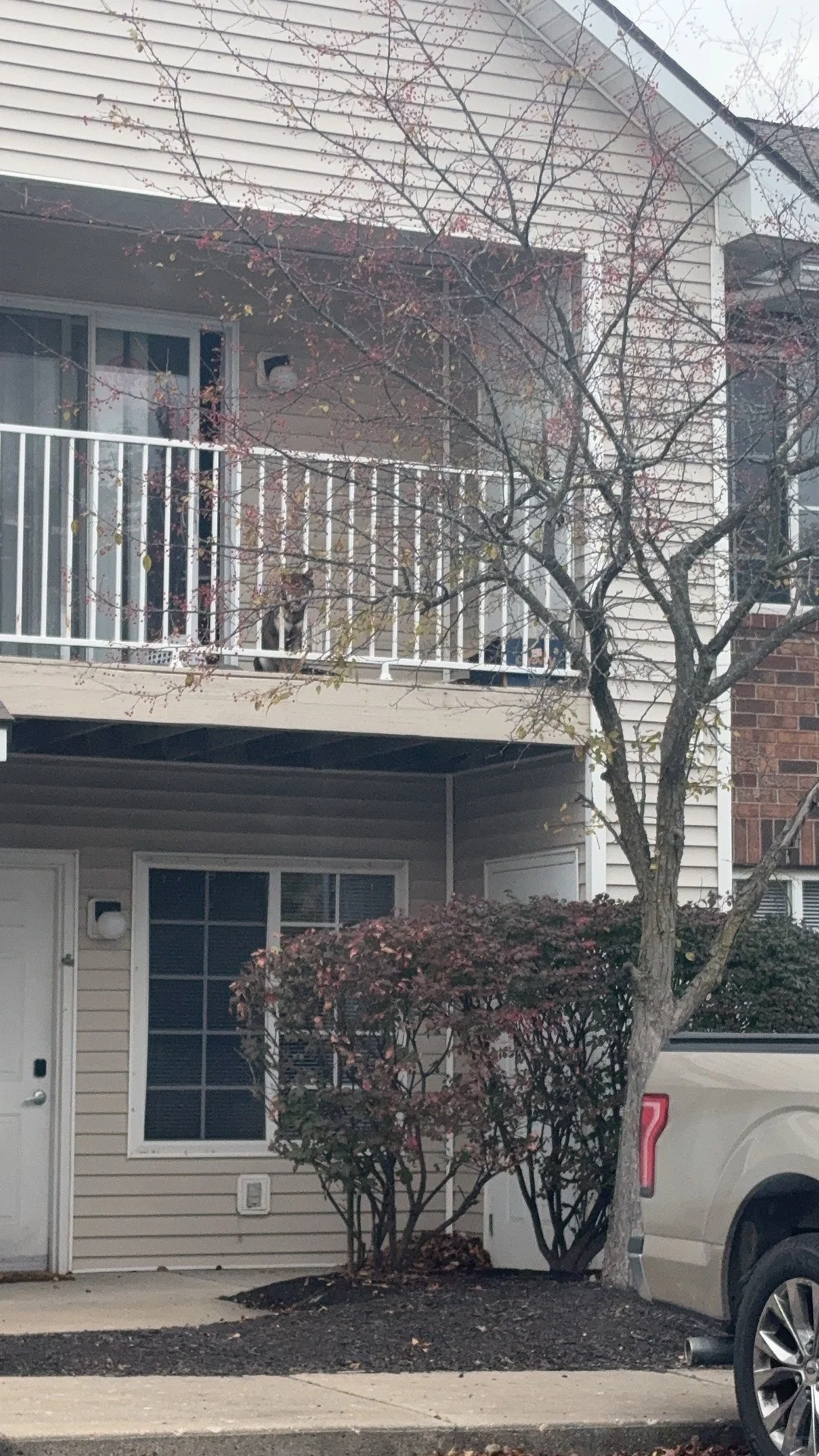 大半夜做个夜宵烟雾报警器狂想