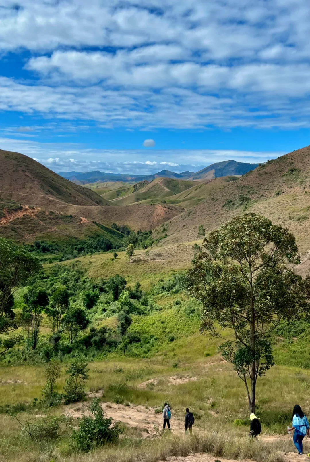 入行两年，生态保护的理想和痛苦的现实