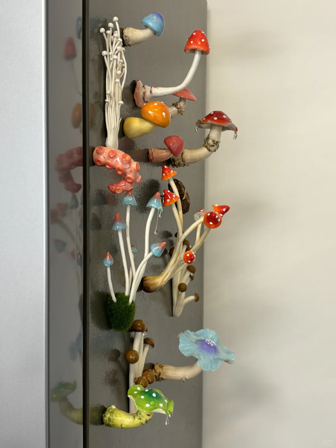 蘑菇蘑菇?‍?冰箱怎么长蘑菇了？（第二弹）