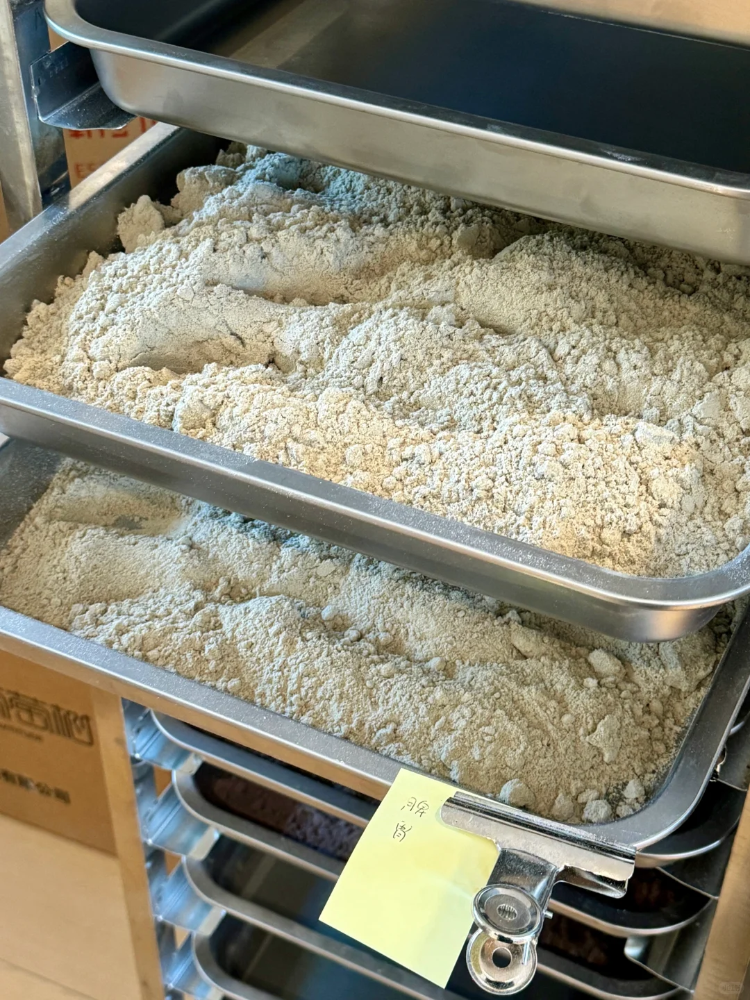 谷栗磨坊探秘记?✨