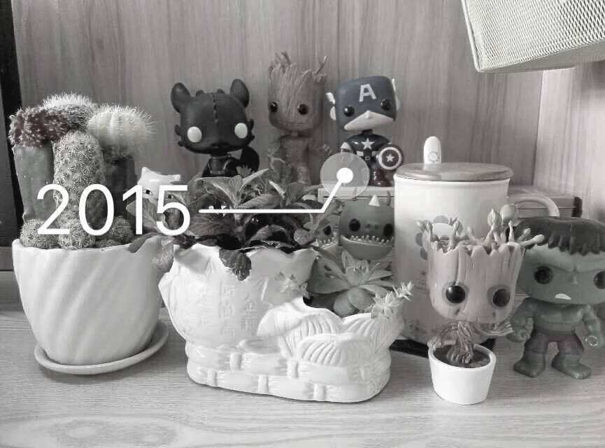 十年的时间 花几十万买玩具是怎么样的体验