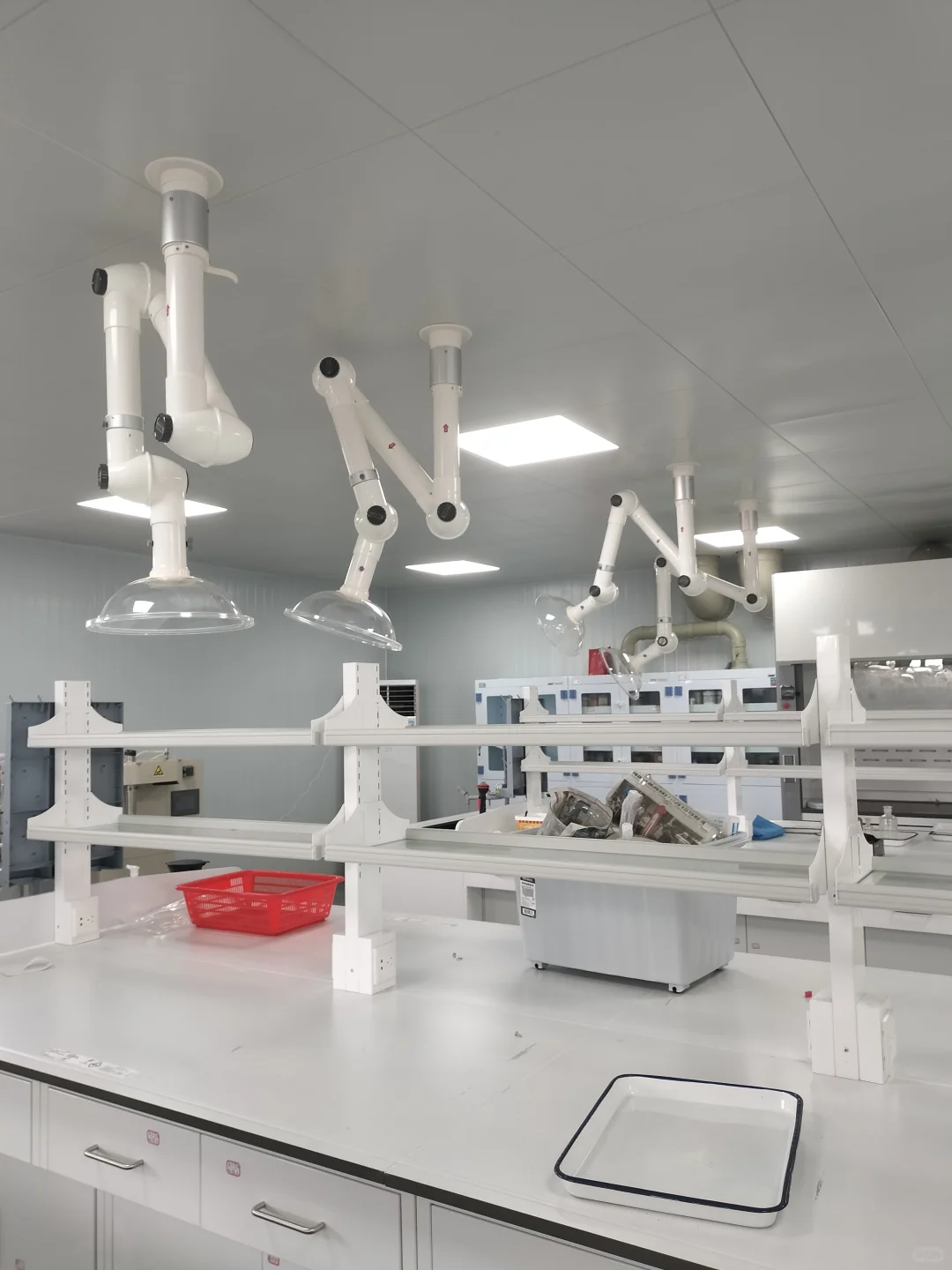 这是你们梦中情实验室吗？小学生这个夏天