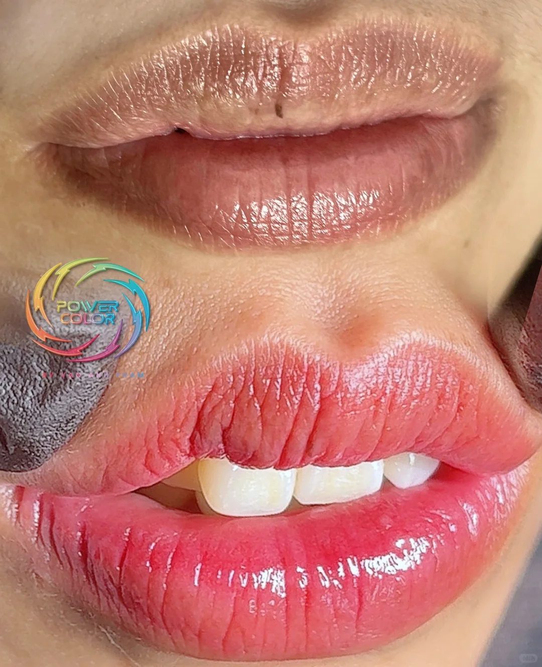 POWER COLOR - 靈活的色彩系統