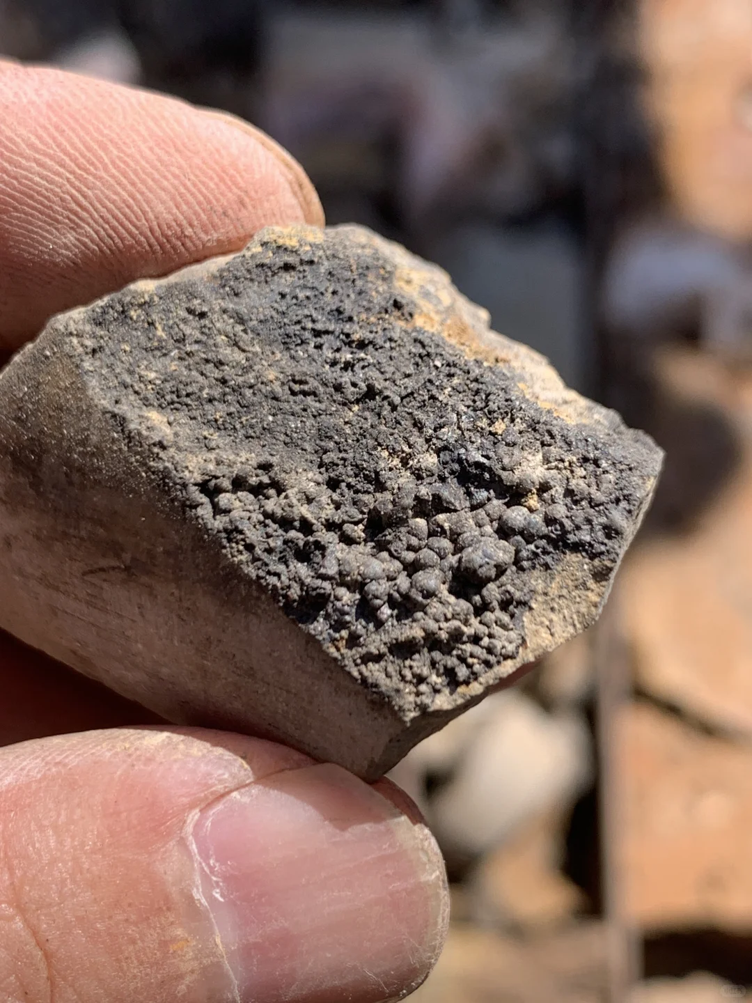 大家看看我在铝土矿里发现了啥