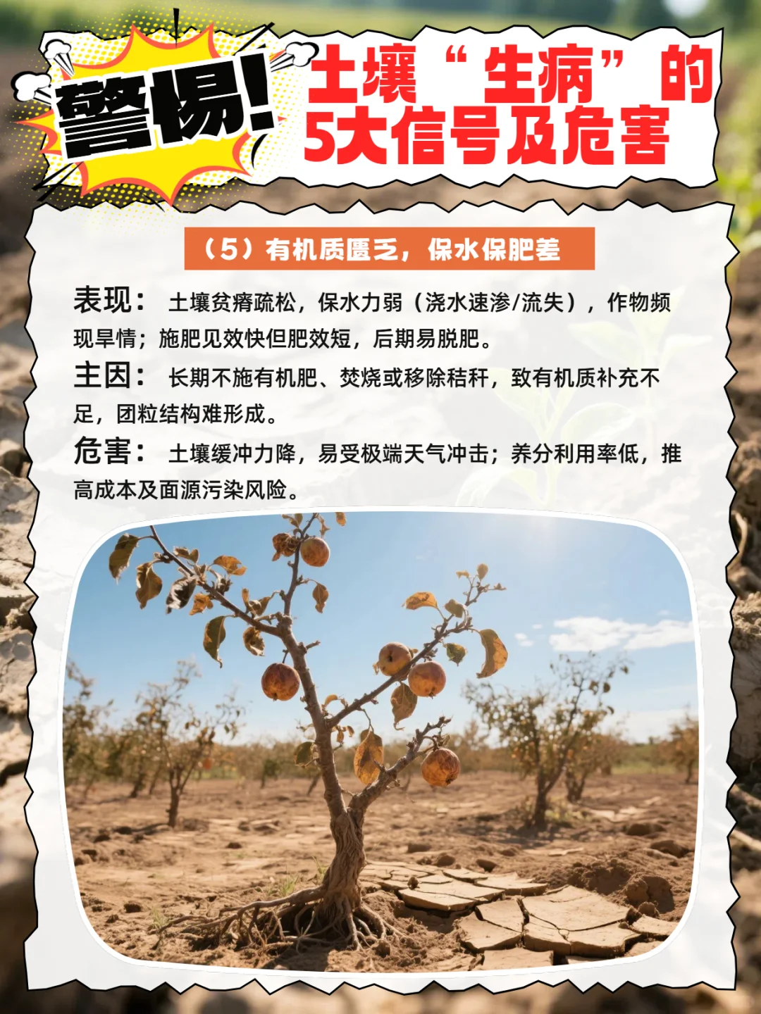 警惕！土壤“生病”的5大信号及危害