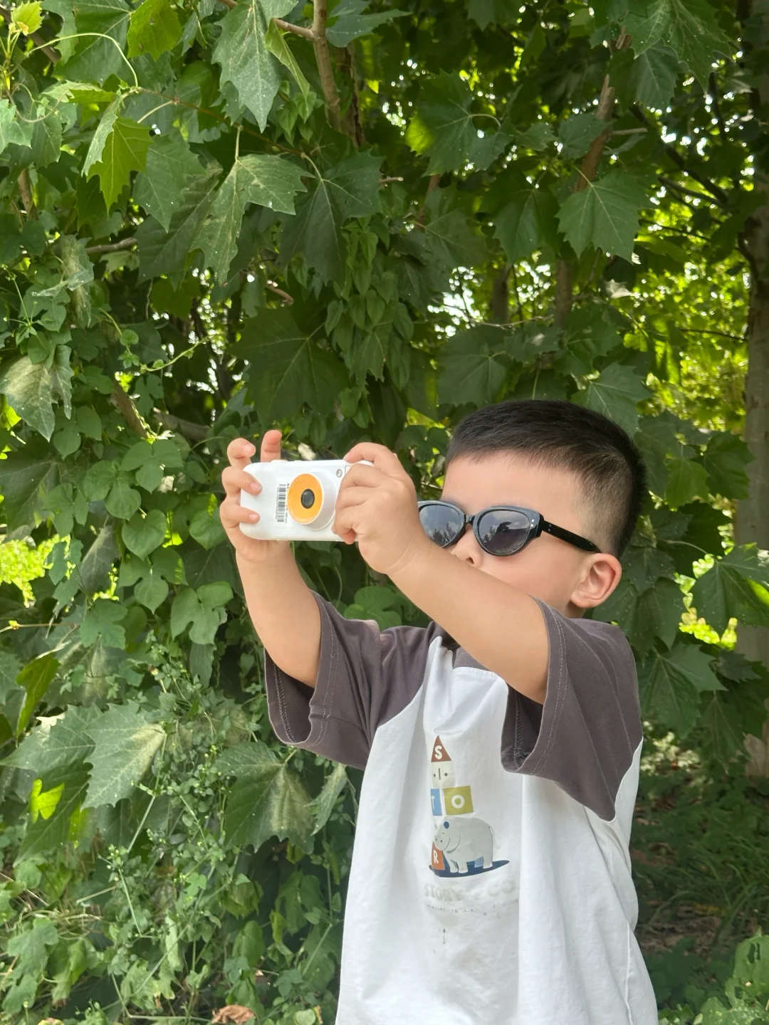 这玩意这么有吸引力？