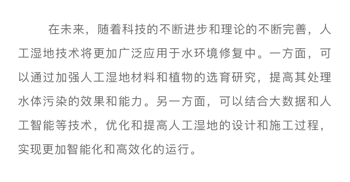 人工湿地技术在水环境修复中的应用