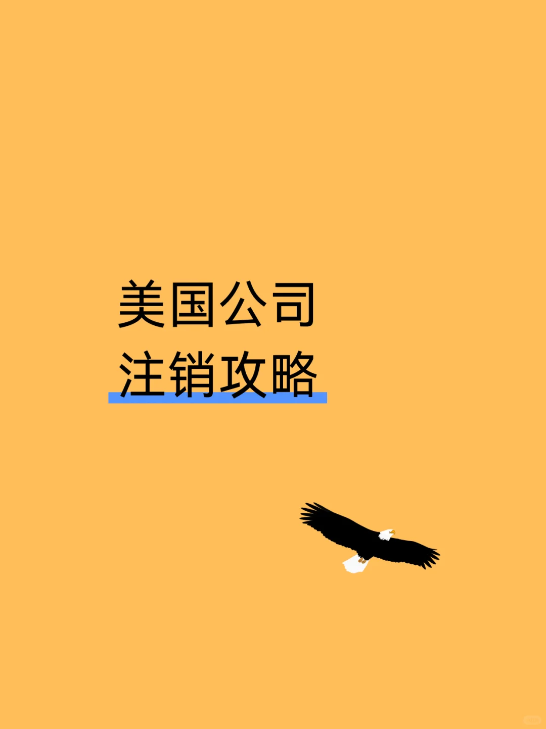 美国公司注销攻略