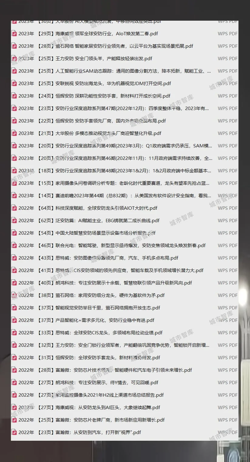 安防行业报告2025人工智能与视频监控市场趋