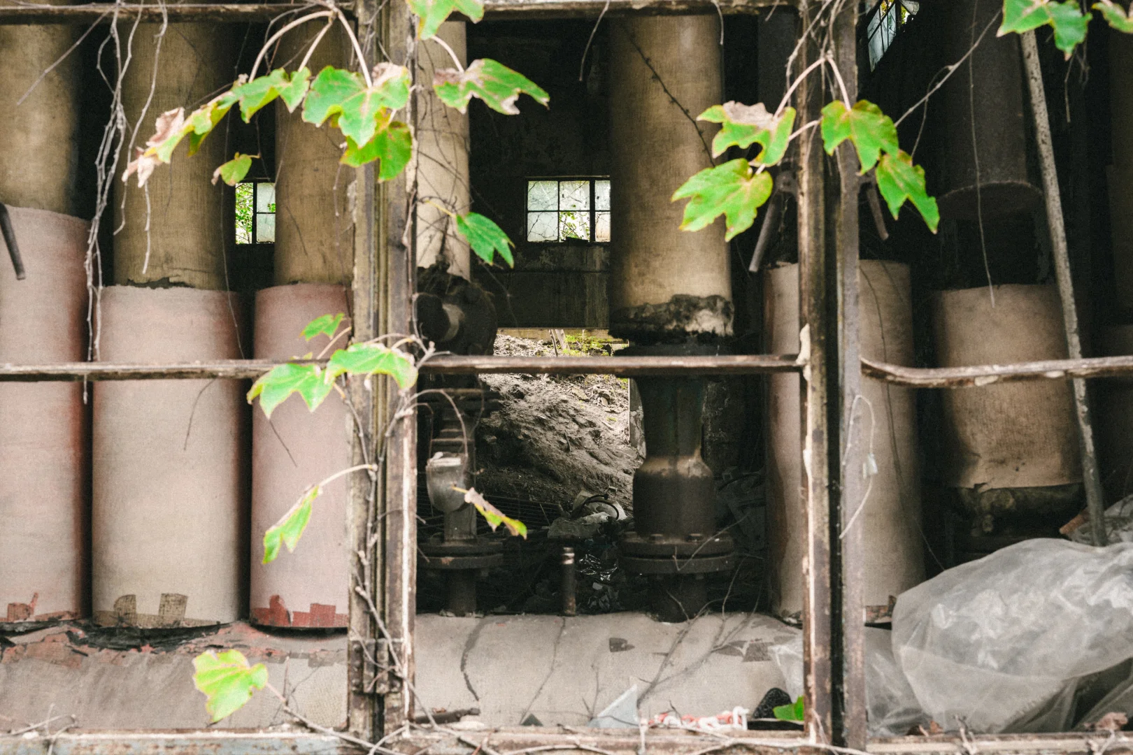 残骸与新生，大自然改造了废弃工厂