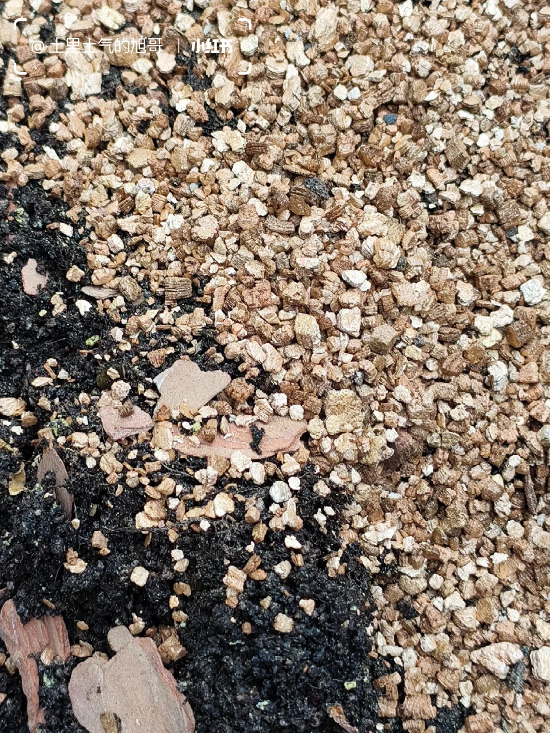 旧土翻新术0成本救活废土&灭虫养土搞定