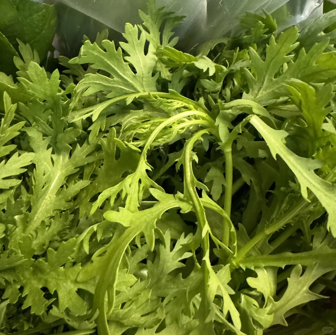 周末遛娃之采摘蔬菜，看看鸡鸭鹅和兔子