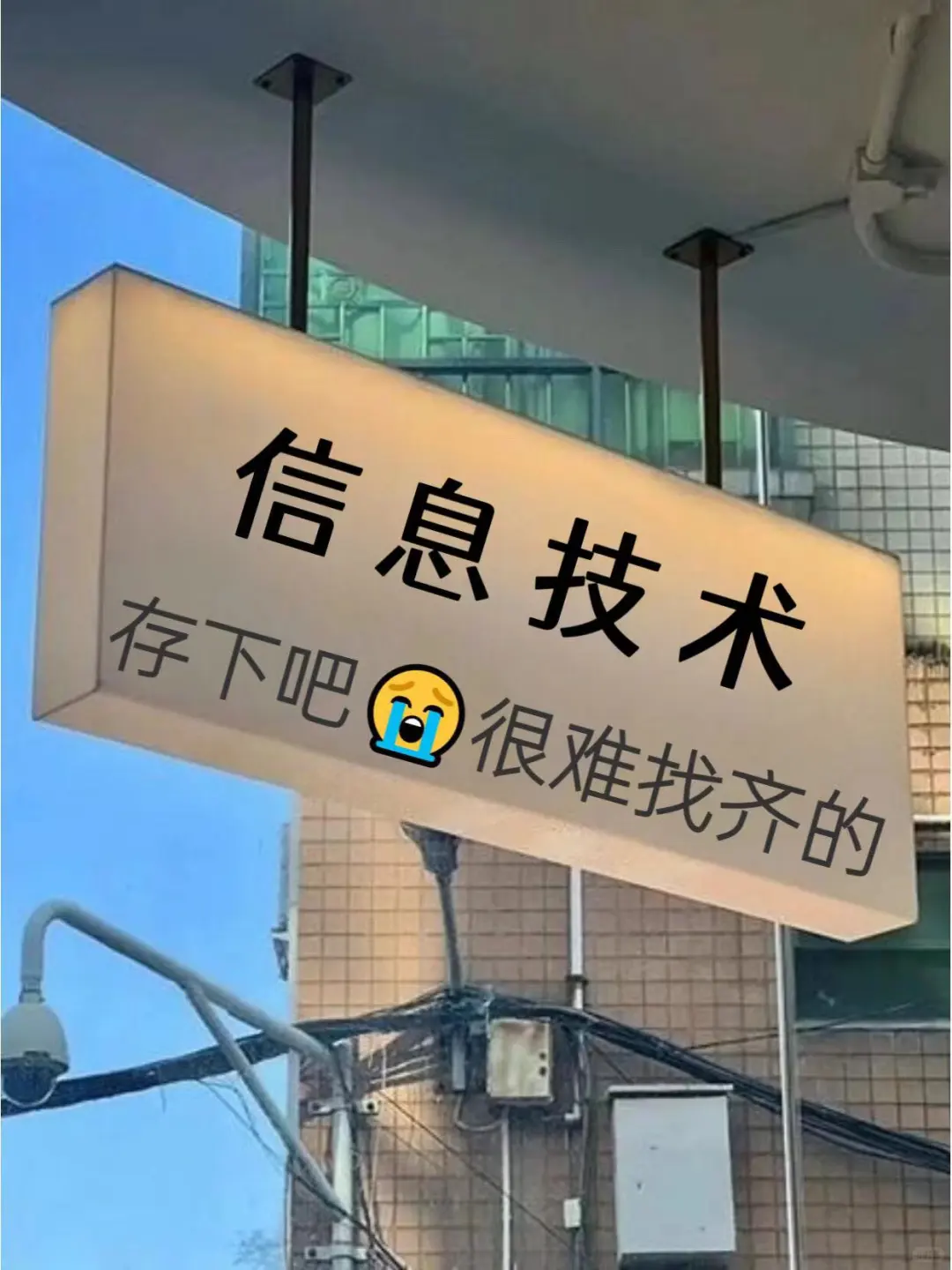 真心希望所有信息技术专业的都能看到吖！！