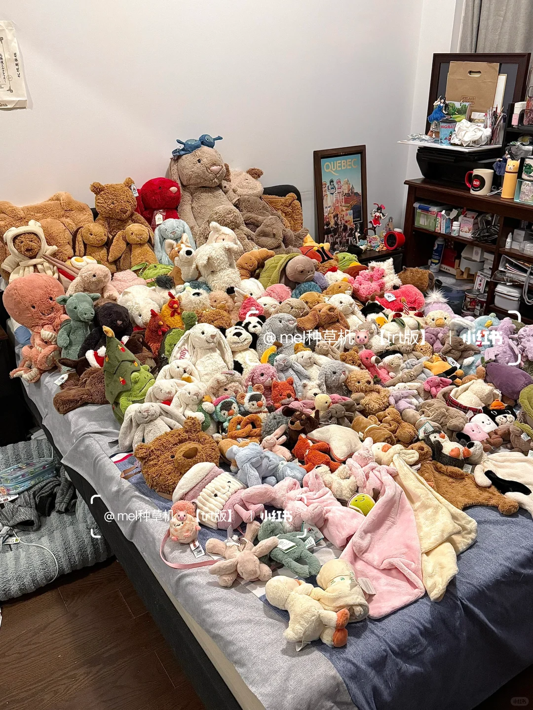 入坑jellycat一年老公买了155只玩偶给我?