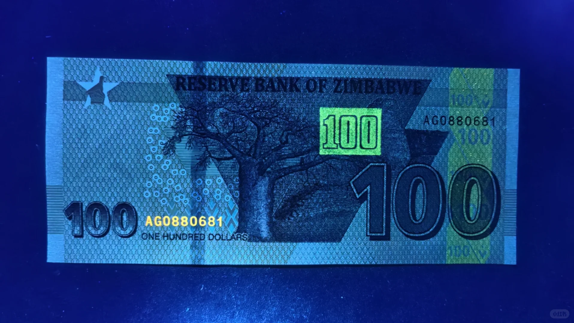 每日一钞：津巴布韦100元（2020版）