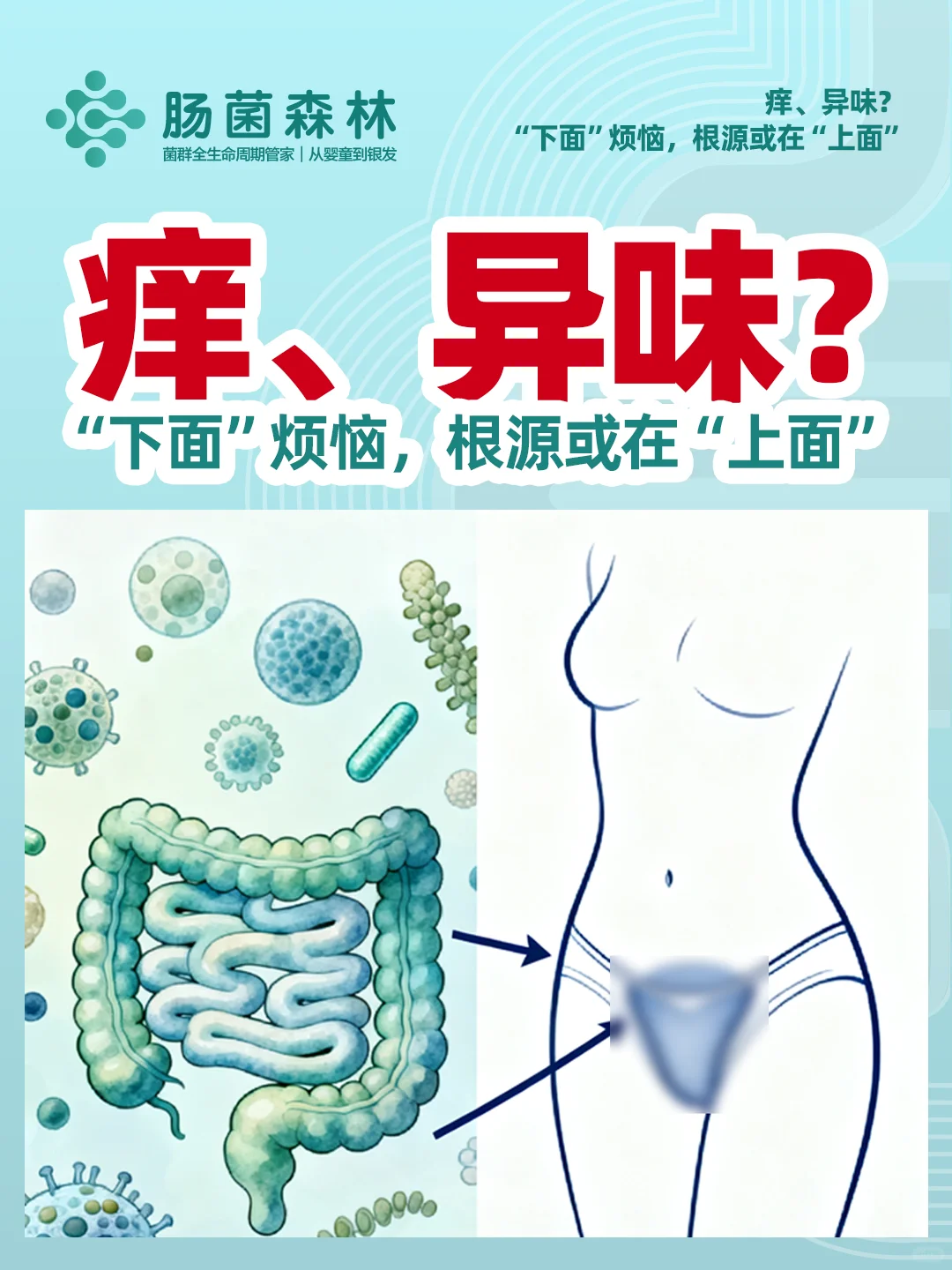 痒、异味?“下面”烦恼,根源或在“上面”
