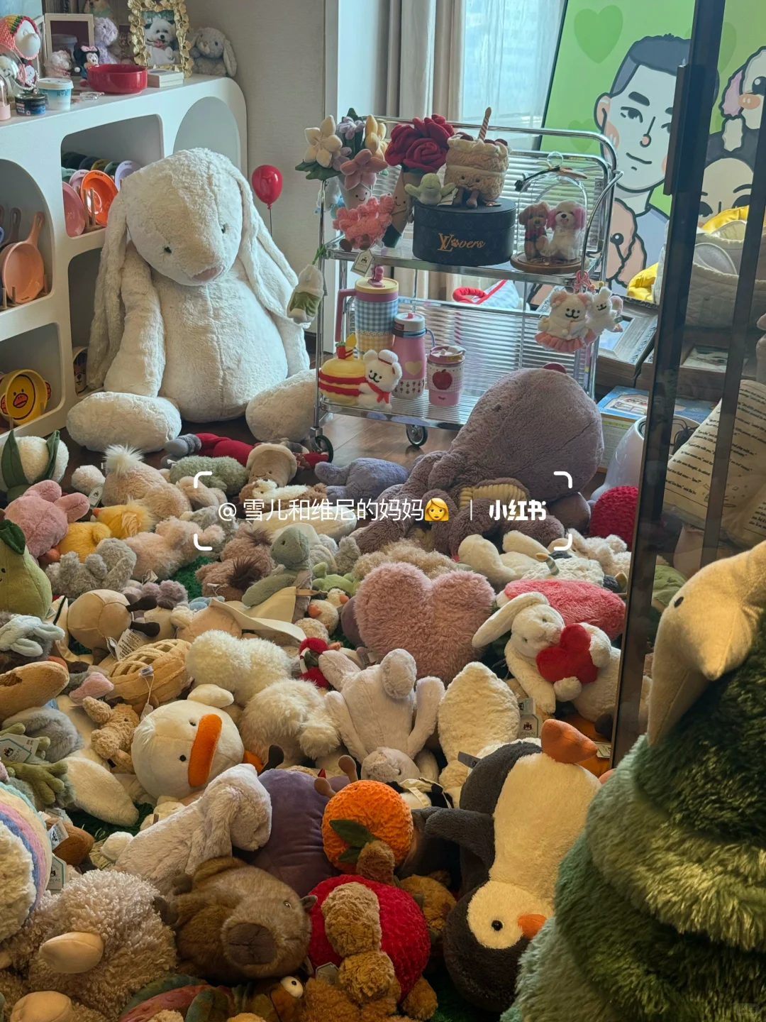 一口气背着家人买了16w的jellycat现状