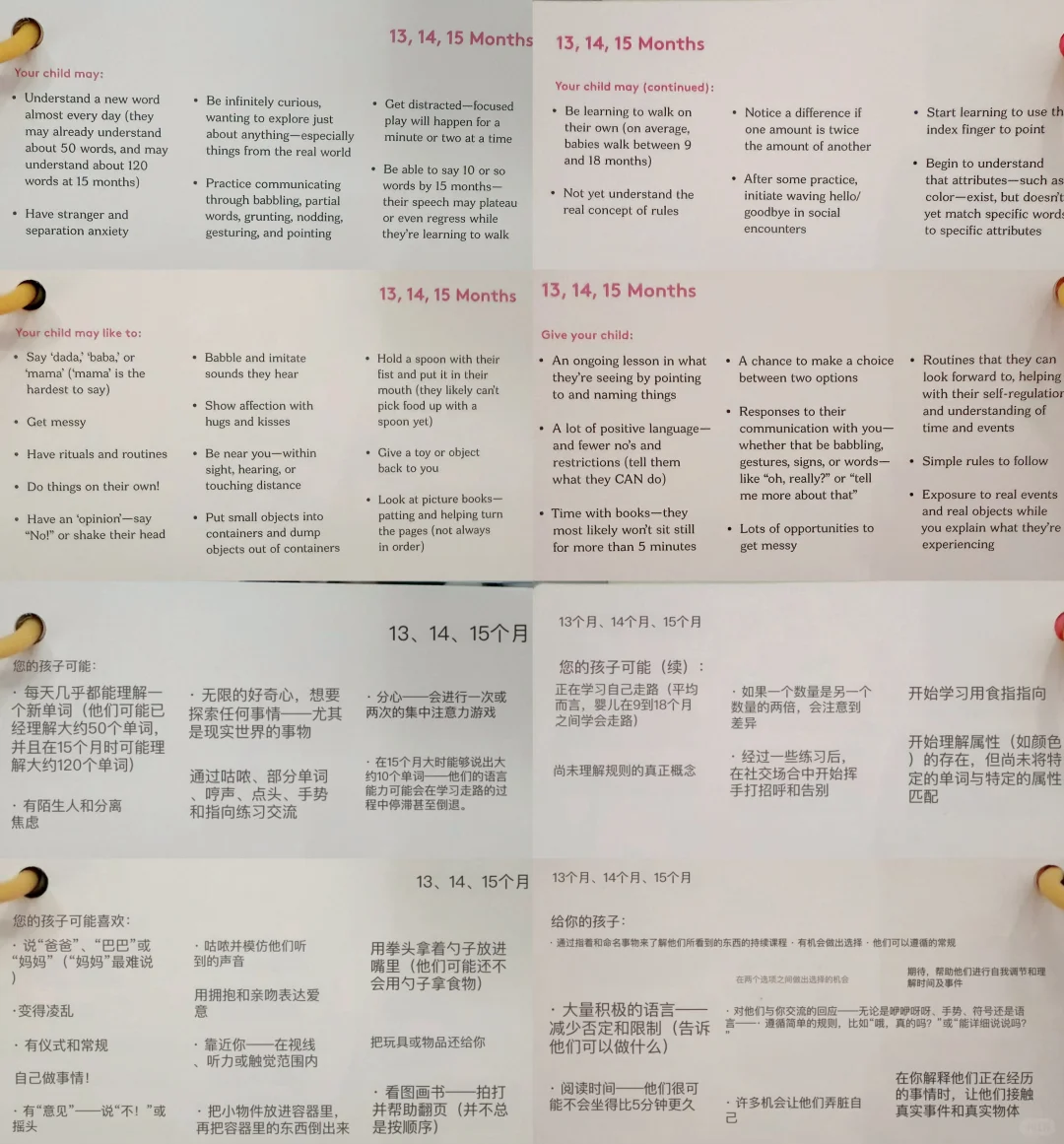 13月龄|宝宝最爱这些玩具和书