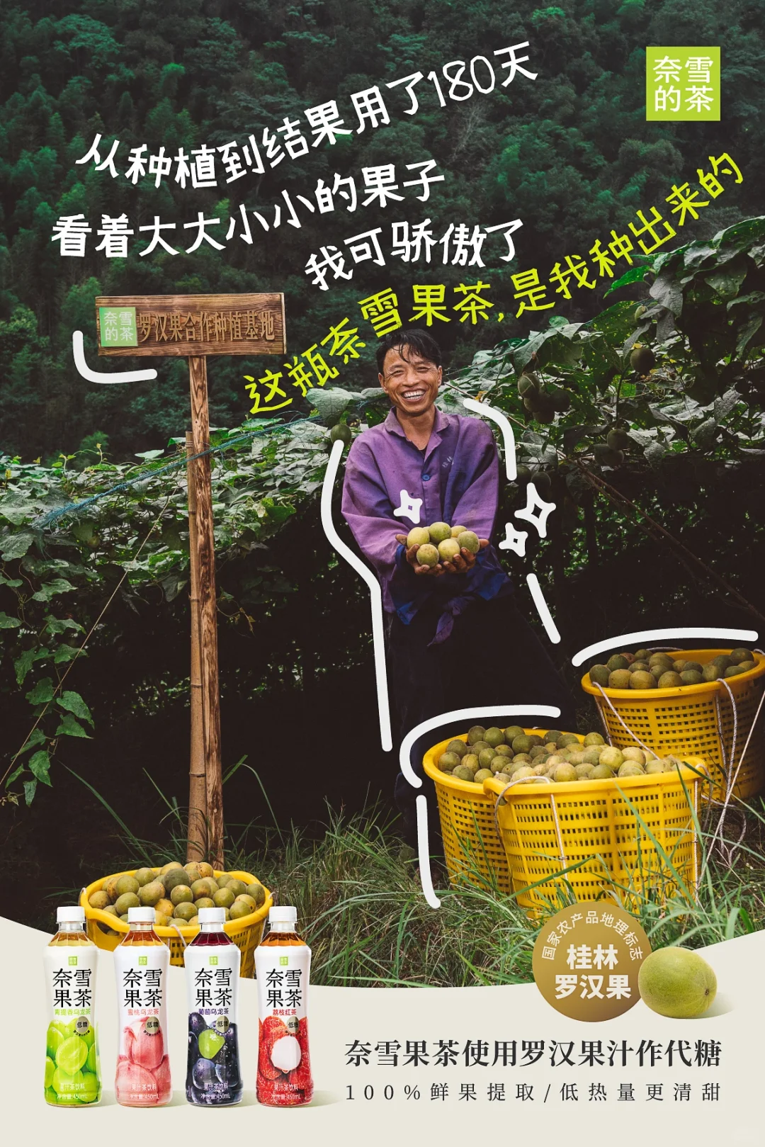 这瓶奈雪果茶，是他们种出来的