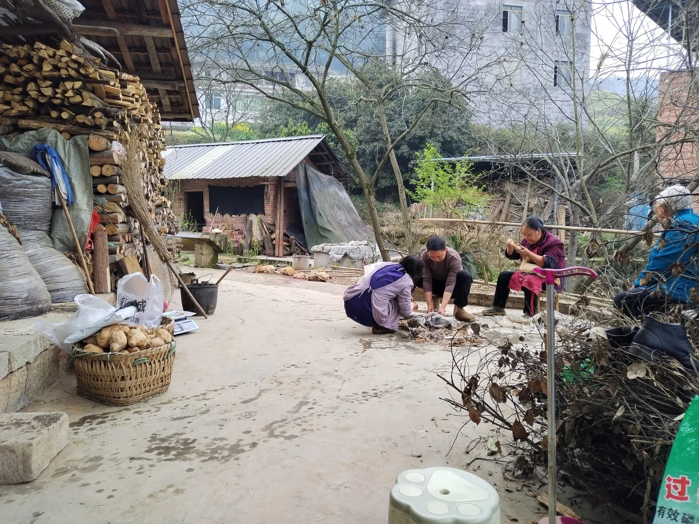 重庆大渡口双山也有土鸡土鸭农产品了
