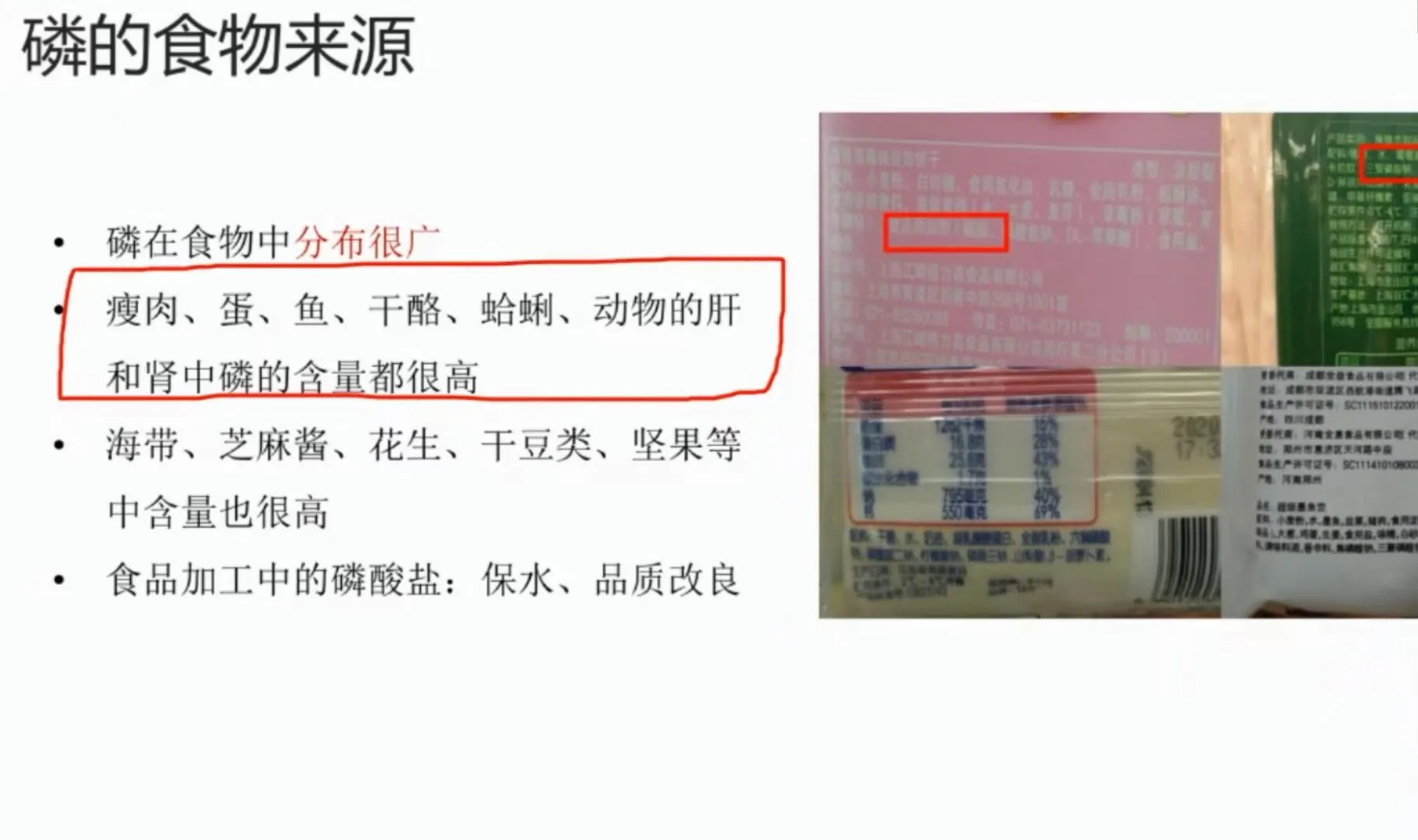 矿物质—常量元素—磷介绍