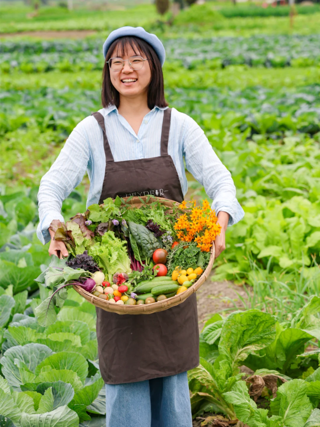 谁懂收菜的快乐啊？