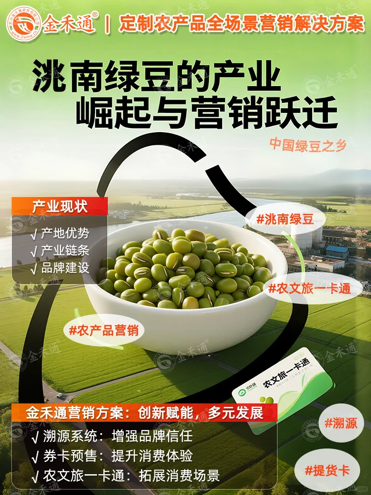 洮南绿豆的产业崛起与营销跃迁