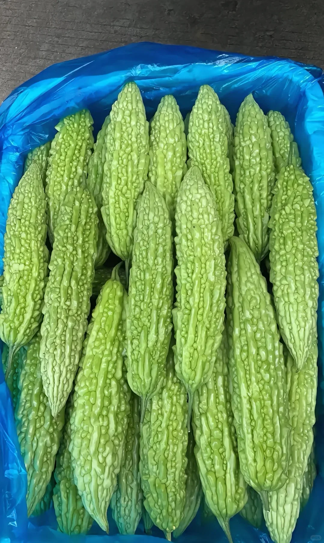 上海 全区 食材 餐饮 供应 配送