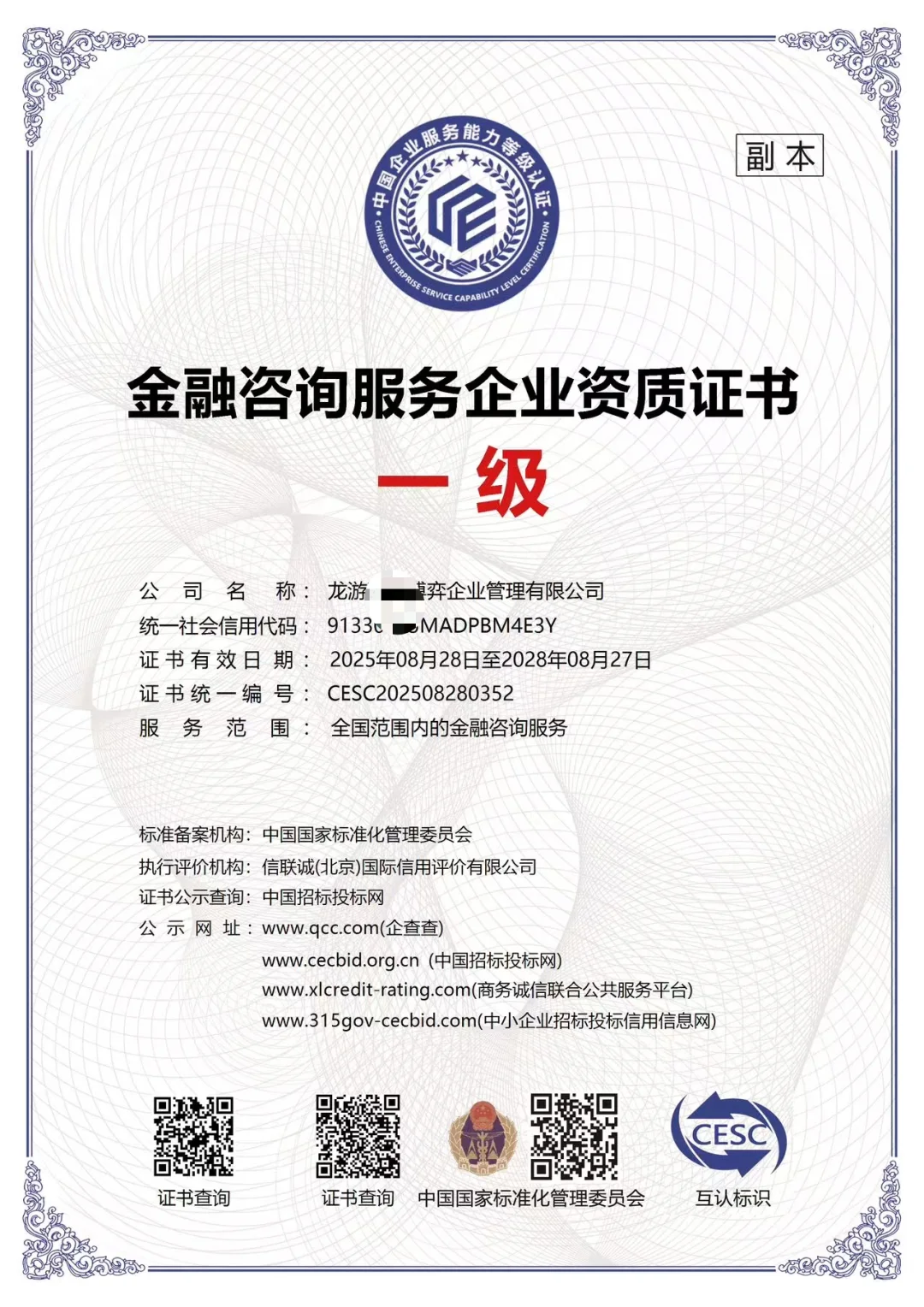 金融咨询服务企业一级证书