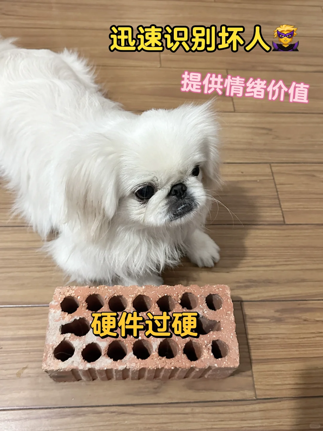 家庭智能安保系统