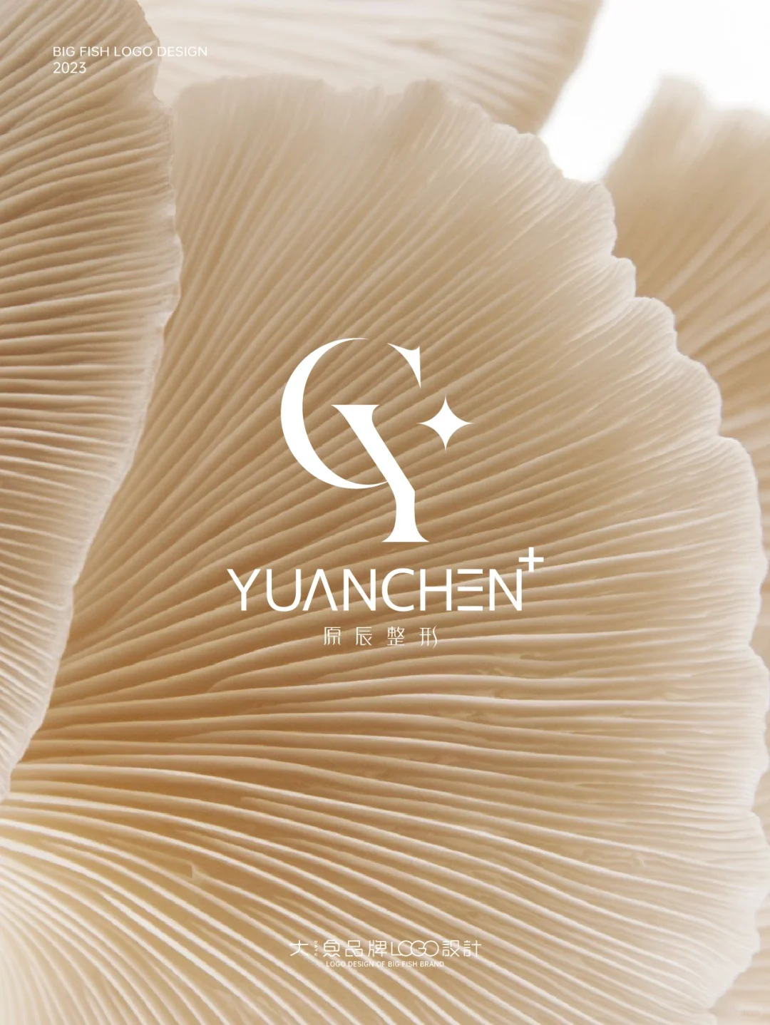 高级感的LOGO让我涨粉过万！