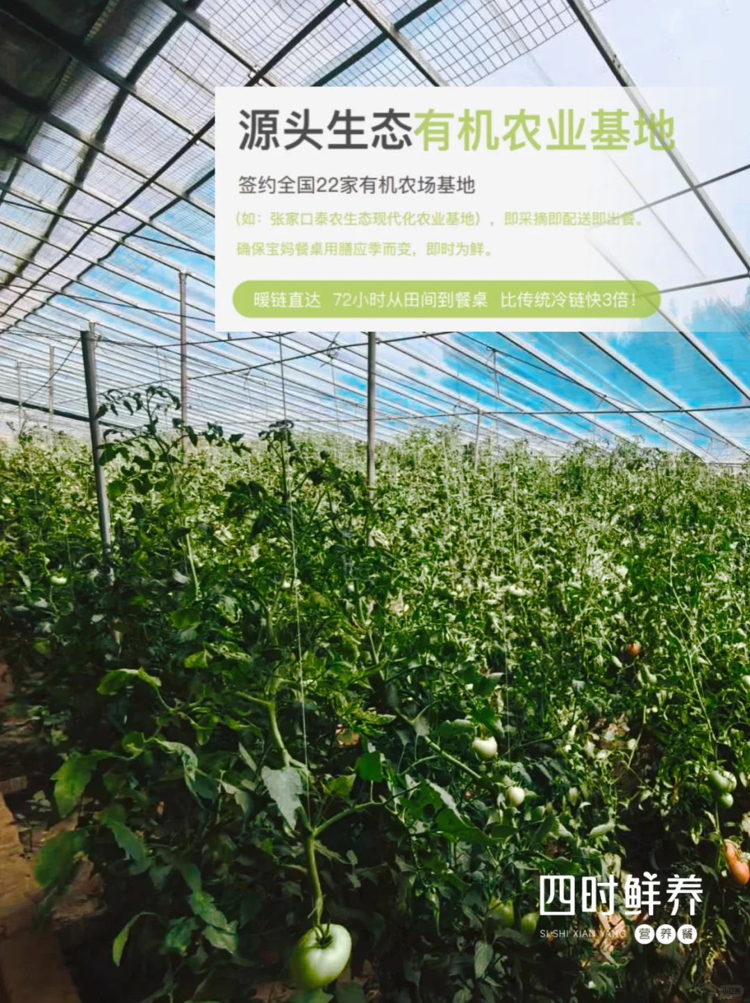 每一口都新鲜才是月子餐的安心之选