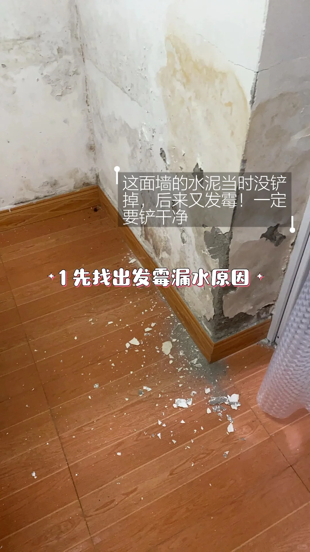 老房子墙皮发霉反碱的补救措施