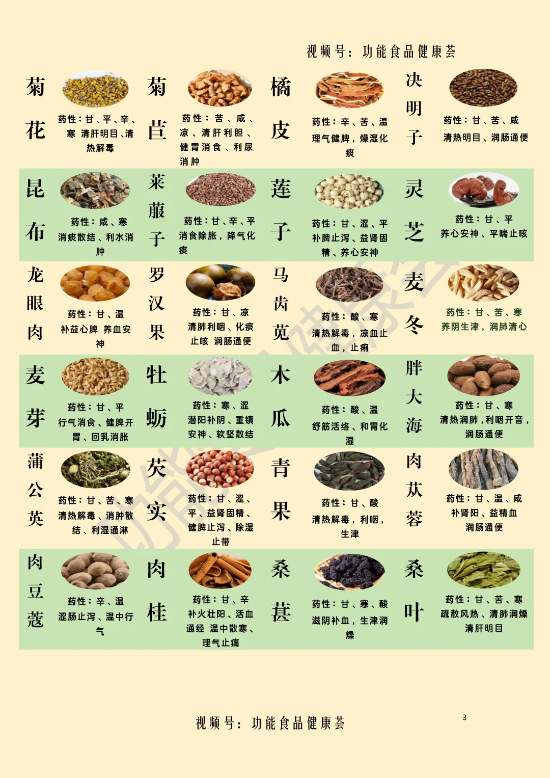2025最新食药物质目录速览