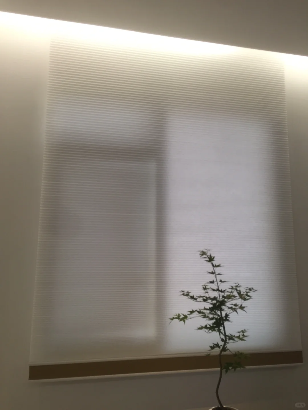 省下1w‼️ 在马来西亚使用Aqara全屋智能