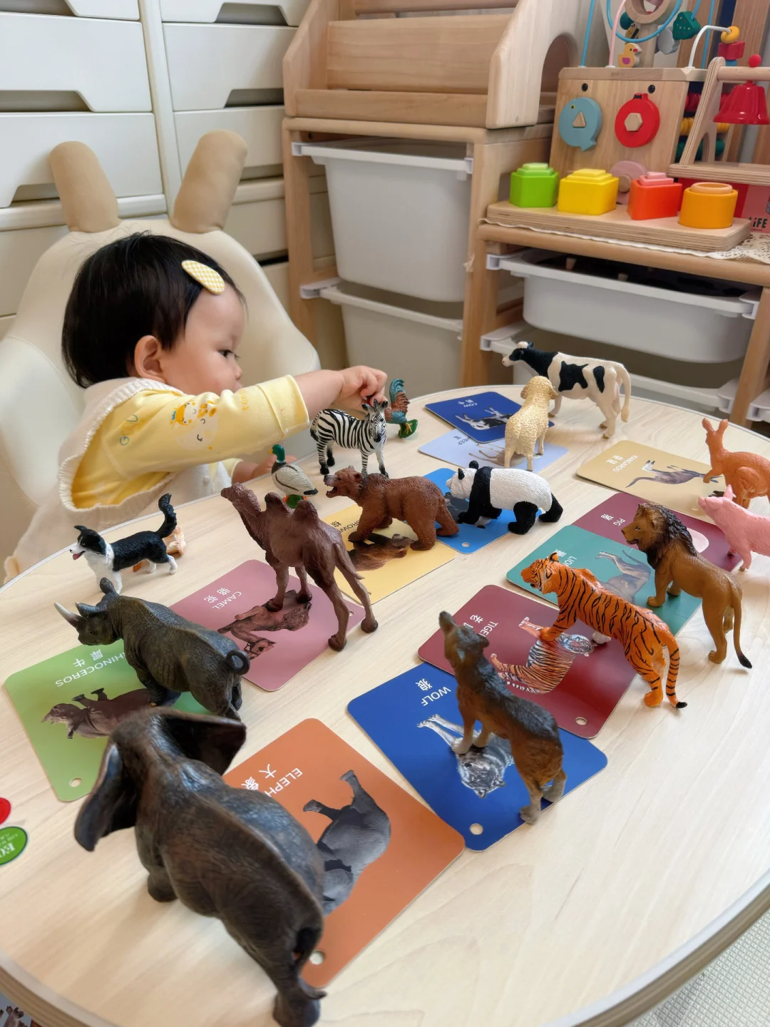 Share|15月龄宝宝的玩具合集?