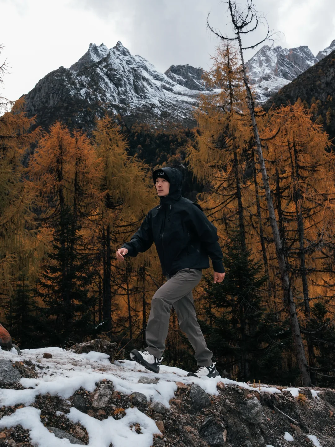 雪线之下，风与暖同频