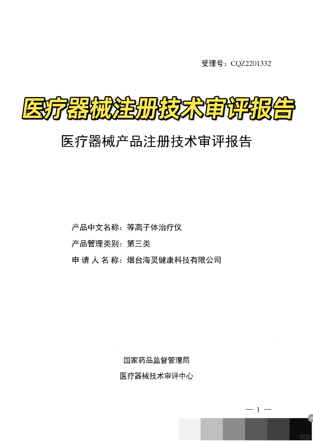 医疗器械技术审评报告2(等离子治疗仪)