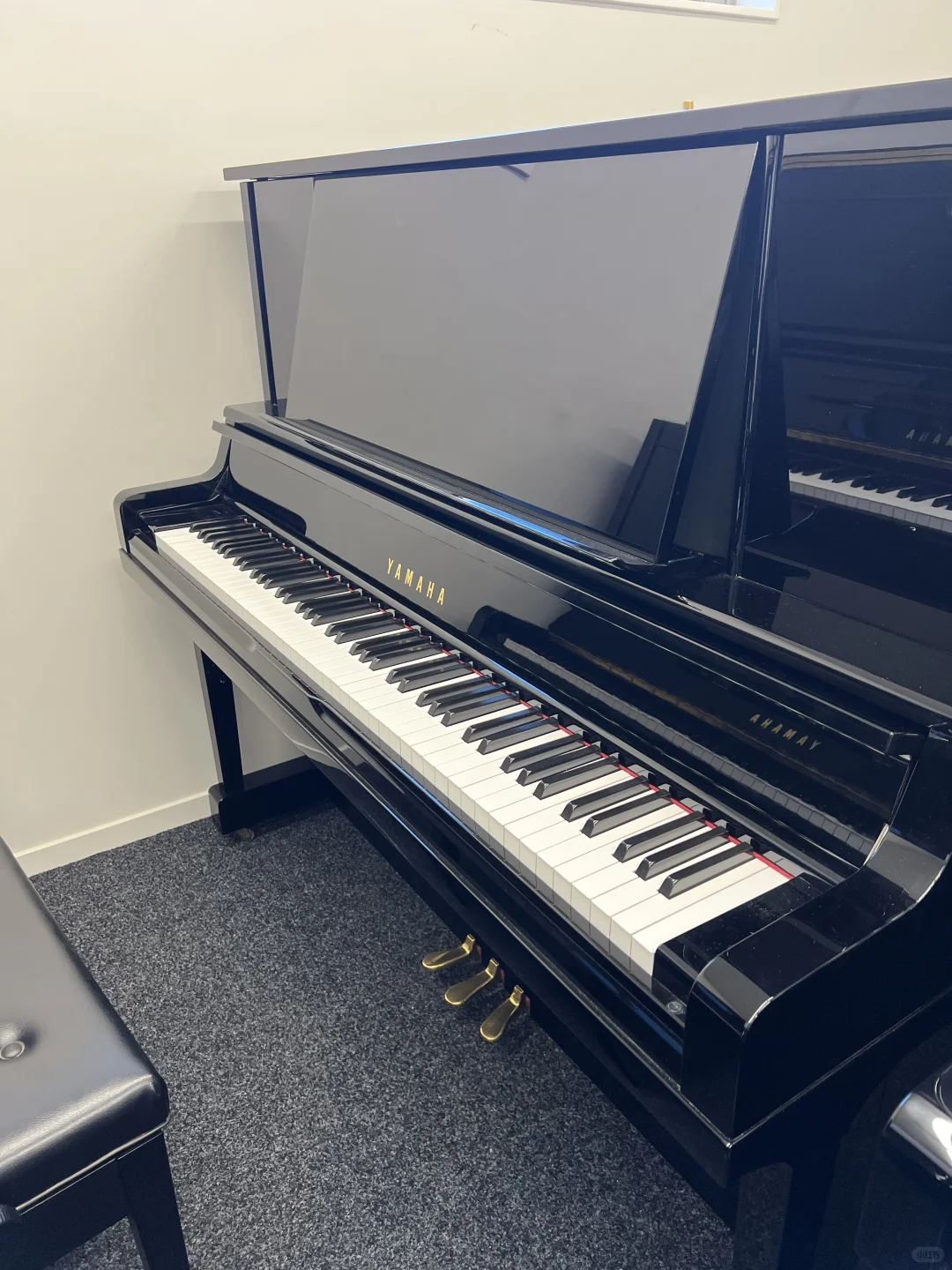 奥克兰 Yamaha UX30A