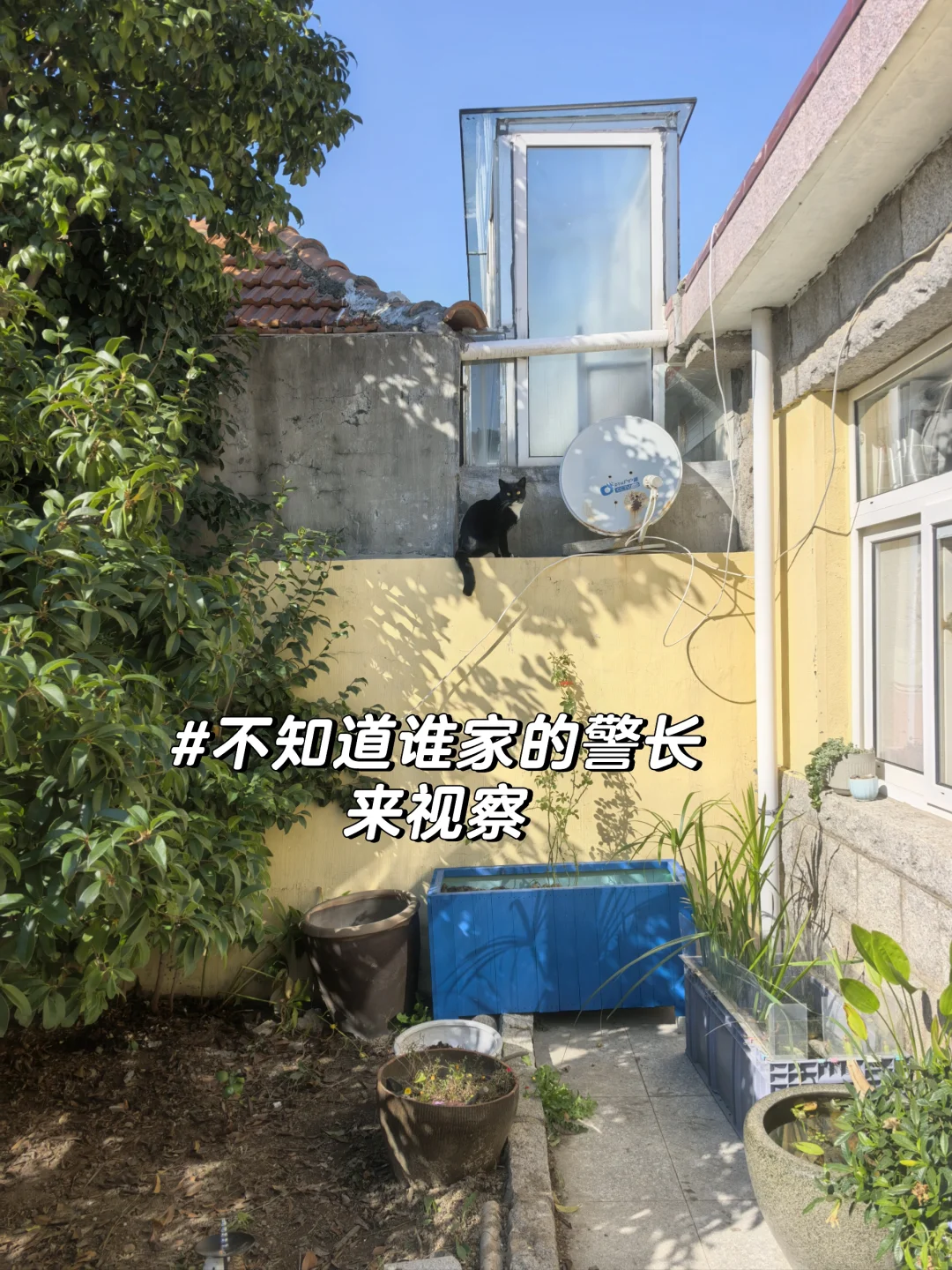 在青岛|当我用1250/月租到心仪的崂山小院