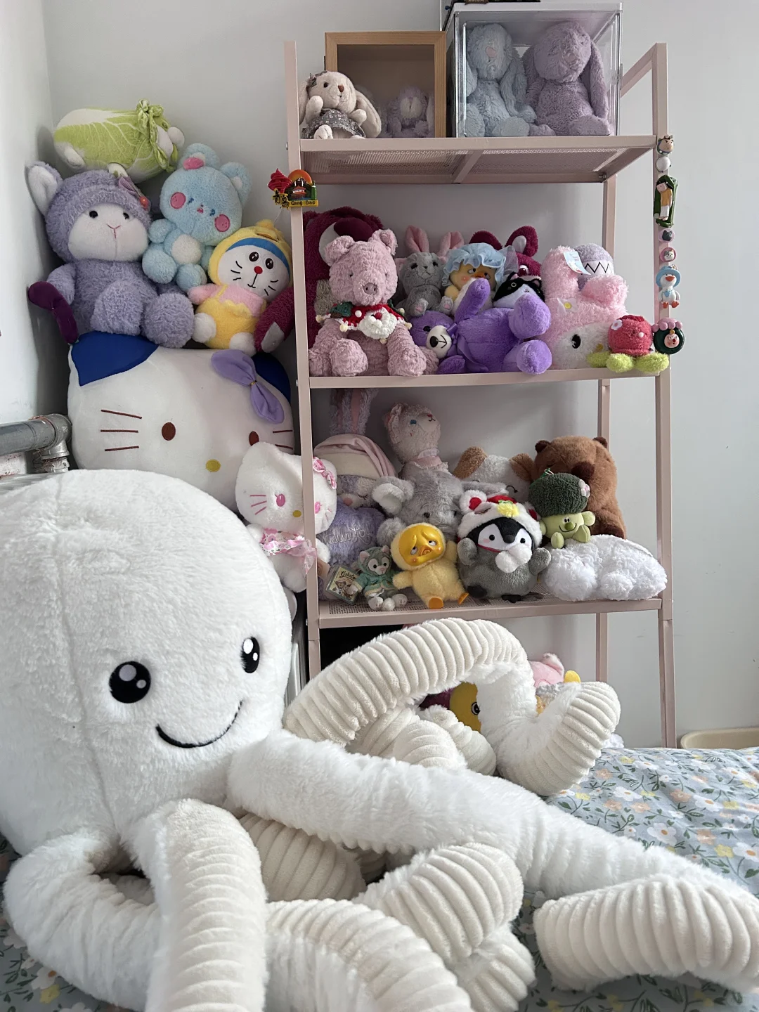 我的娃娃展示柜